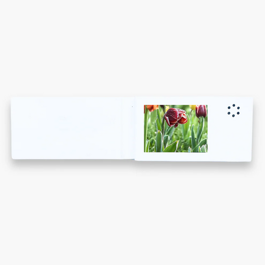 2.4-Inch LCD Video Greeting Card