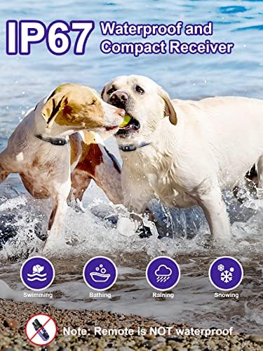 Smart Waterproof Dog Training Collar