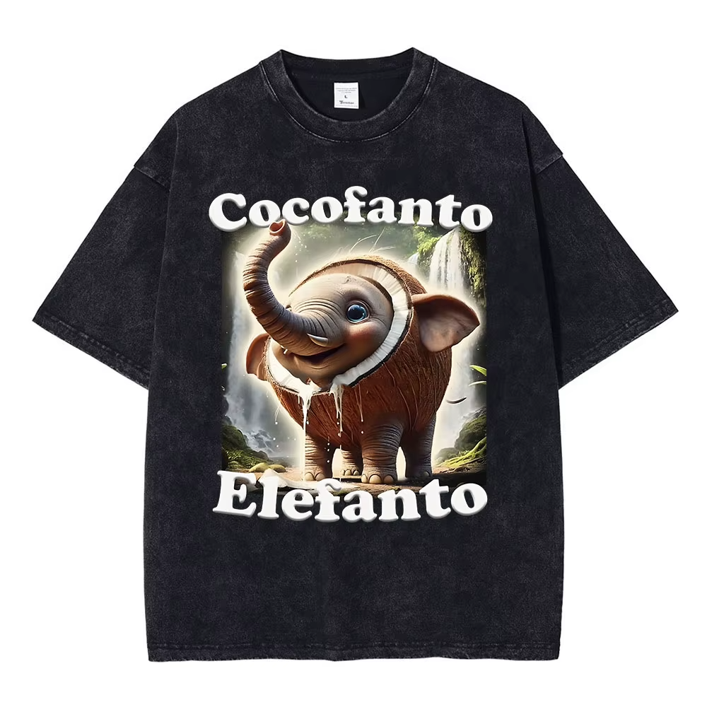 Italian Brainrot Tiktok Meme T-Shirt