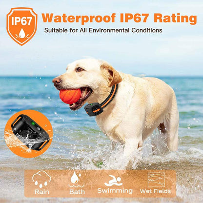 Smart Waterproof Dog Training Collar